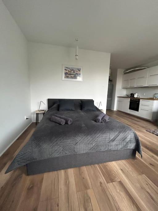 Apartament Stary Szczecin Exterior photo