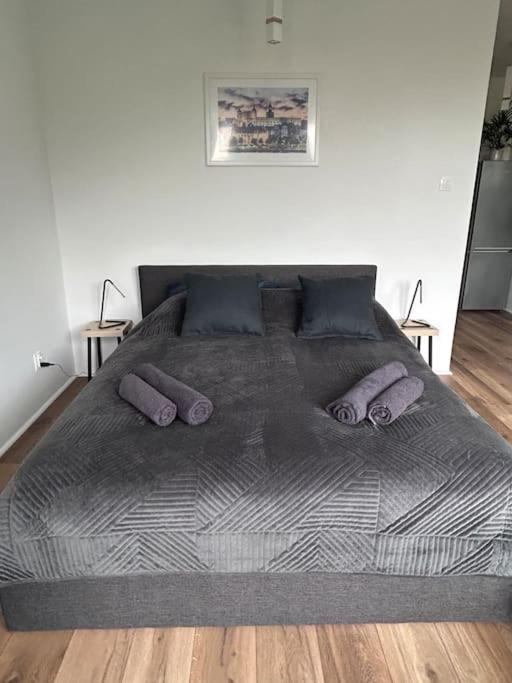 Apartament Stary Szczecin Exterior photo
